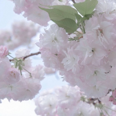 Furry插画背景绘制兽圈社群